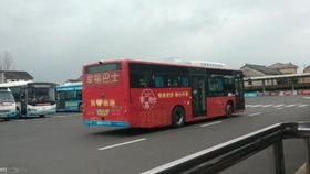 公交车之旅：一场耐力考验
