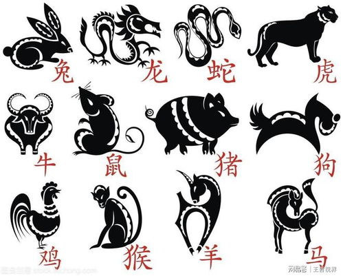 七夕九天指的是哪个生肖？十二生肖本命花分别代表什么含义？