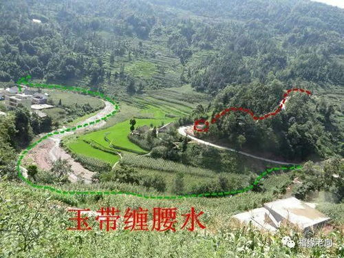 墓地风水怎样发长子,墓地风水方位对应子女