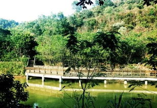 龙岗河绿道 - 狗屎遍地走