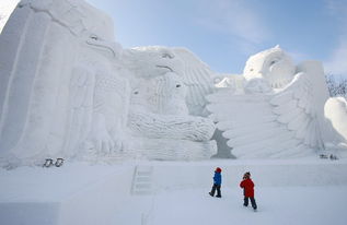 札幌冰雪节？本地人才不care！他们有自己的冬日生存法则