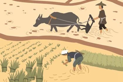 二、  风水里最常见的烂桃花陷阱（噪音版）