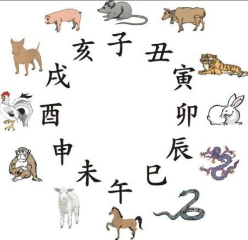 2.5 龙——尊市场价格较高吉祥， 却总被风水禁锢在地下室