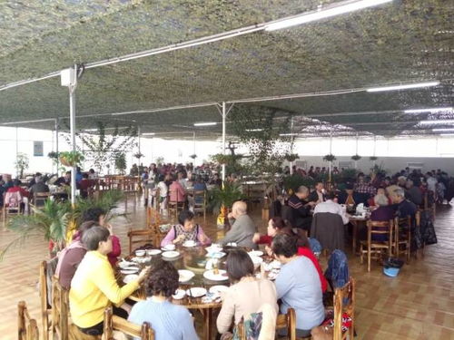二、 万楼景区：历史持续发展文化底蕴与现代化景观的完美融合