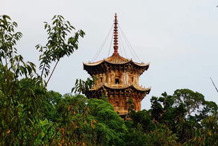 开元寺里的钟声敲醒了谁的梦