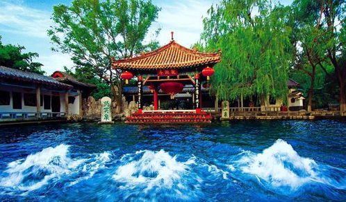 济南的泉群，比大明湖有意思多了