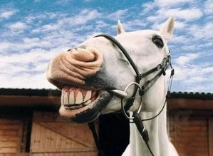 民间传说：报应与前世因果