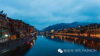 美食：舌尖上的骗局