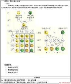 学风水与个人大运之间究竟有何关联？