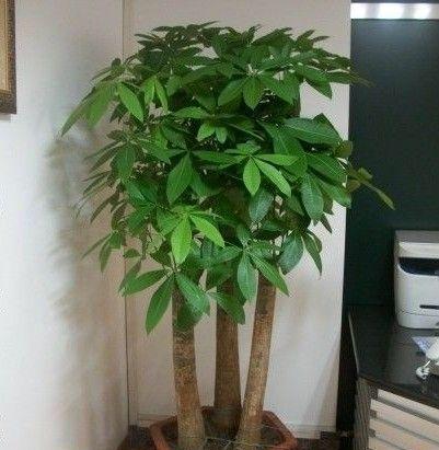 那些花言巧语...