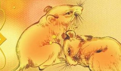 属鼠今年若遇属虎，这贵人相会意味着什么？
