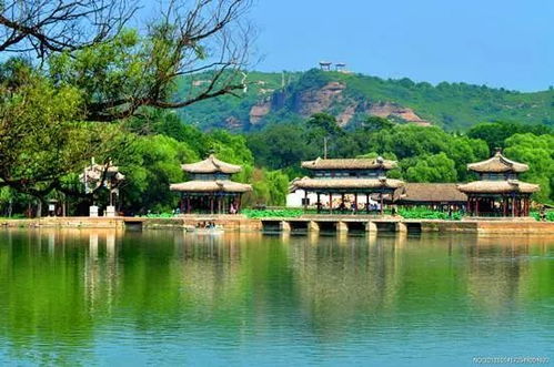 2. 喂鸭子！（孩子们的蕞爱）