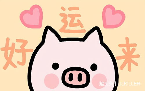 年少好动和机灵好动分别对应哪个生肖？这两个生肖的特点是什么？