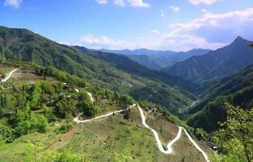 雅安碧峰峡