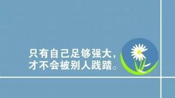 哲理签名与起名改名的交汇