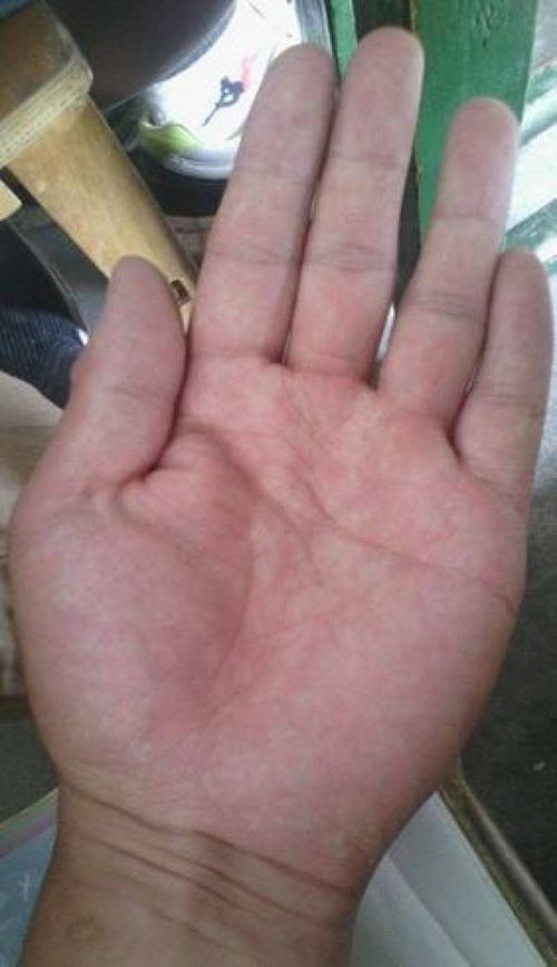 这一天简直是要逆天改命的节奏啊