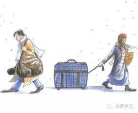伤官是个啥玩意儿？