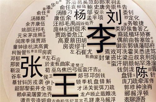张姓：中华姓氏的瑰宝？还是历史持续发展的沉淀？