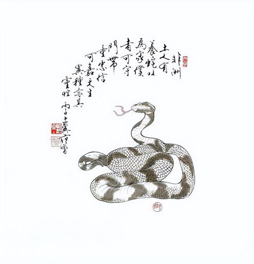 十二生肖羊和蛇的财运究竟有何特殊含义？蛇与羊的搭配意味着什么？