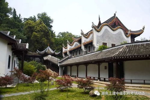 第五幕：游客感受—混沌、 迷离、惊喜