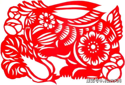 卯兔在生肖风水中的特殊寓意——杂乱无章版