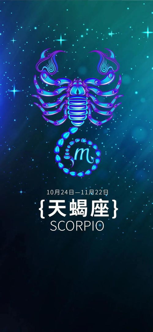 前言：星辰绘梦，运筹帷幄