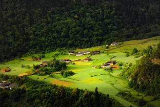 我的惨痛经历：一个教训