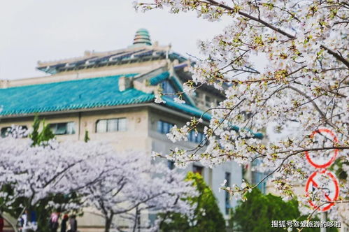 极地海洋公园， 打铁花，听起来就很酷