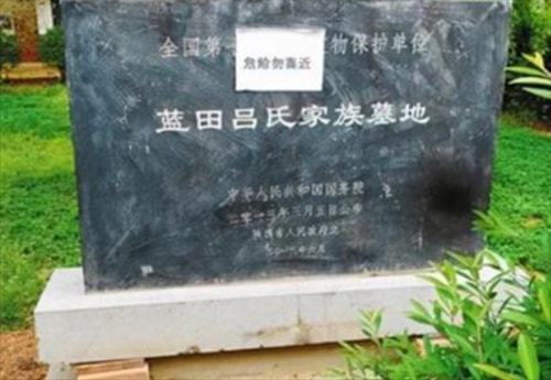 我家祖坟的奇幻漂流