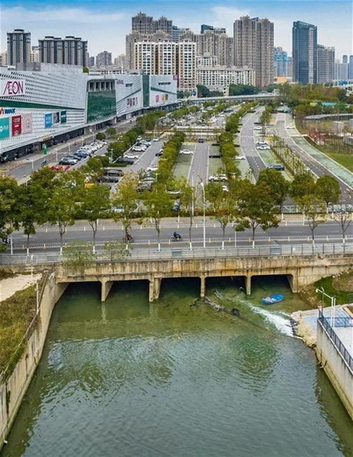 四、 下午行程：湿地公园与自然亲密接触（顺便找找鸟儿拍照）