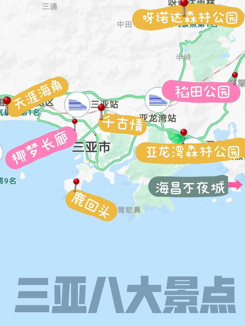 第7天：购物 & 打包回忆 (终极收官)