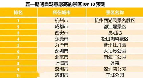 四、案例分析：真实旅行中的健康挑战