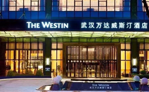 6.1 武汉万达文华东方酒店——艺术感十足（随意）