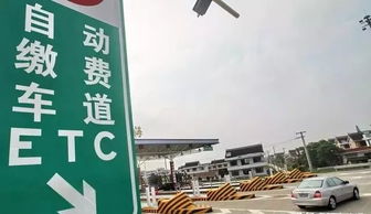 丽温高速：连接丽水与温州的美丽纽带，还是一条长长的带子？