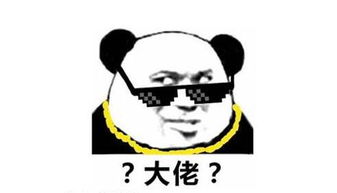 第三节：羊猴鸡——风水布局里的喜剧现场