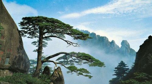三、 日出：光影与情绪交织