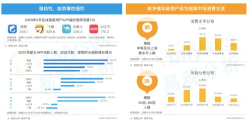 破局之道：在标准化与本地化之间走钢丝