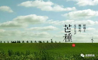 芒种时节的魔幻现实主义