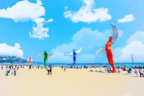 沙滩：免费的代价
