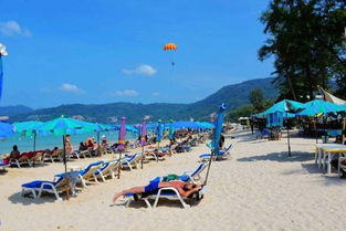 海滩、 椰子与无尽的等待