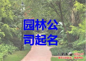 根据公司法人的八字起名