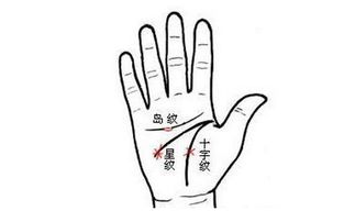 救命！我的生命线分叉了！这是要发财还是要完蛋？