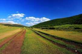坝上草原：风一吹就醉的地方