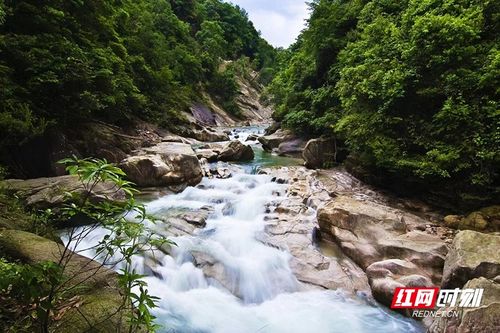 溯溪探险：全家欢乐的避暑胜地， 也是欢乐的“战场”