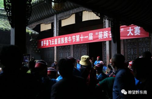 贵州黄平苗族节日文化，传承瑰宝爆款来袭！