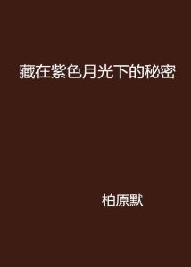 月光下的暗地