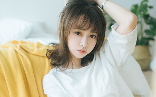 2026年必火生肖签名TOP8（附带黄历吉凶）