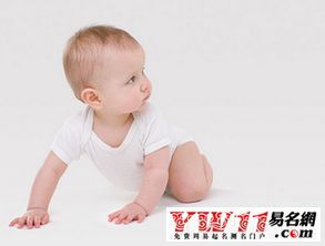 一、随意聊聊——为哪些要给狗年宝宝起名？