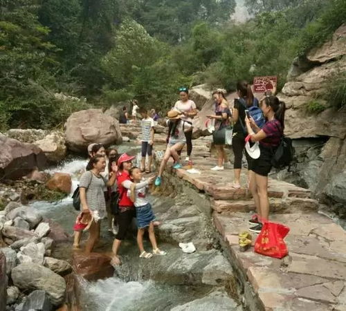 三、 药王谷——草药迷宫与药王孙思邈灵魂对话