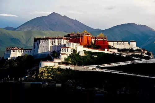 路线真相：三条路的拉扯与妥协